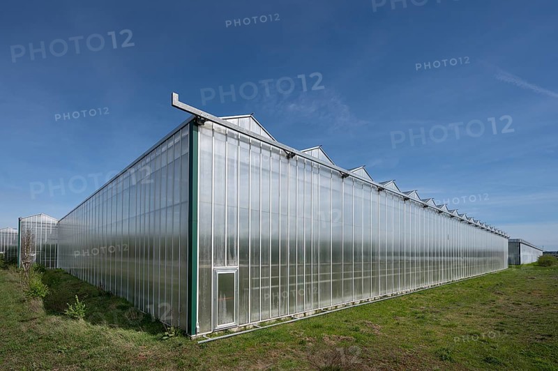 Modern greenhouses in Knoblauchsland, Germany's largest vegetable growing area near Nuremberg, Middle Franconia, Bavaria, Germany, Europe