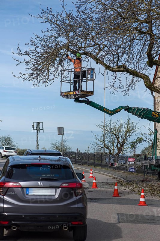 Cutting an overhanging tree on a road, Bavaria, Germany, Europe