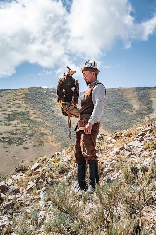 Traditional Kyrgyz eagle hunter hunting in the mountains in a dry landscape, near Kysyl-Suu, Issyk Kul, Kyrgyzstan, Asia