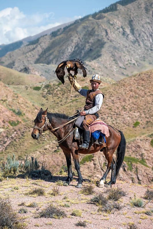 Traditional Kyrgyz eagle hunter with eagle in the mountains, hunting on horseback in front of dry landscape, near Kysyl-Suu, Issyk Kul, Kyrgyzstan, Asia