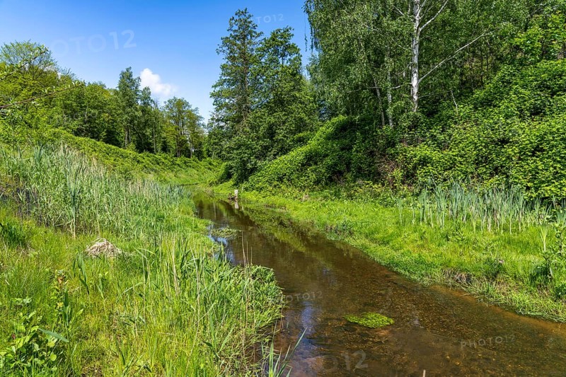 The Boye, stream, runs for 13.8 km through the cities of Gladbeck, Bottrop (photo) and Essen, a former sewer, wastewater river, since 2017 the wastewater has been canalised, the Boye is wastewater-free and in large parts, as here in Bottrop, renaturalised, part of the Emscher conversion project, North Rhine-Westphalia, Germany, Europe
