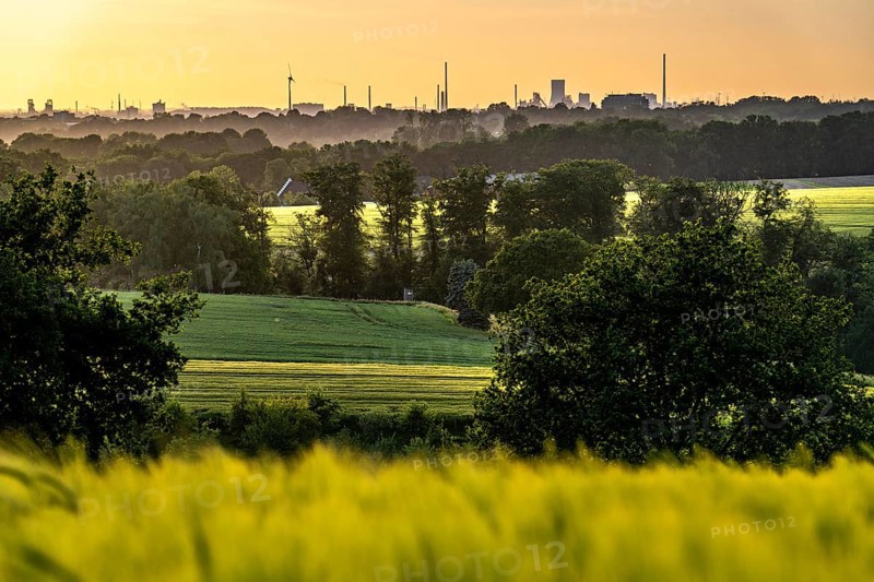 View over the Ruhr valley, to the west, from Mülheim an der Ruhr, in the direction of Duisburg-Bruckhausen, Thyssenkrupp Steel industrial backdrop, grain fields in the evening sun, North Rhine-Westphalia, Germany, Europe