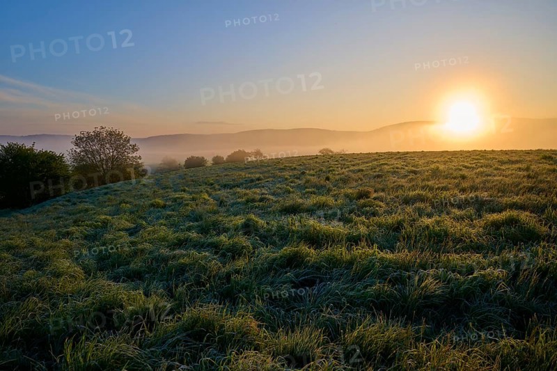 Sunrise over a misty hilly landscape with green meadow and trees in a peaceful atmosphere, Mönchberg, Miltenberg, Spessart, Bavaria, Germany, Europe