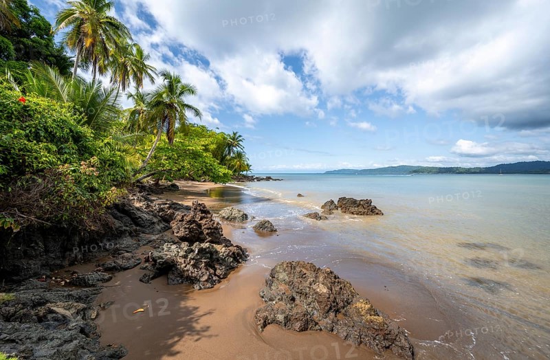Tropical beach, South Pacific, Osa Peninsula, Punterenas Province, Costa Rica, Central America