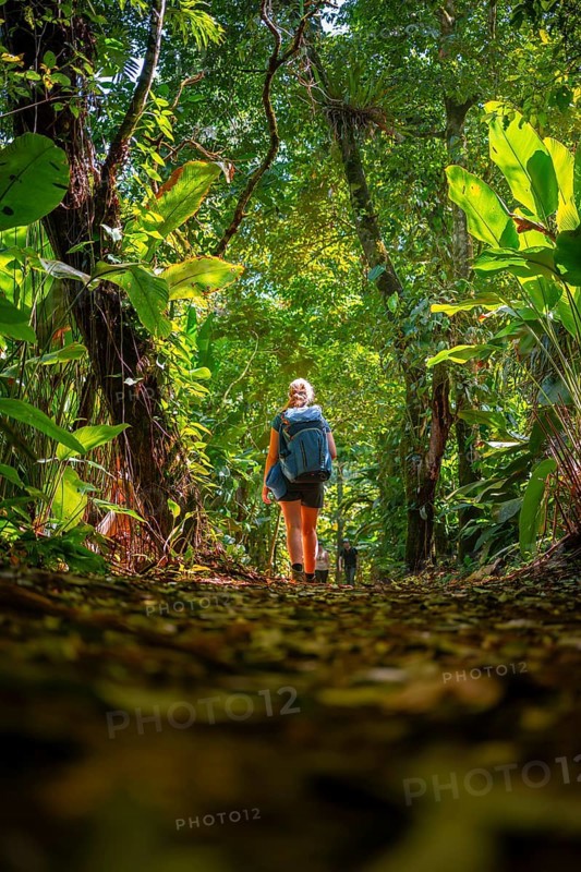 Tourist exploring rainforest, dense vegetation, Tortuguero National Park, Costa Rica, Central America