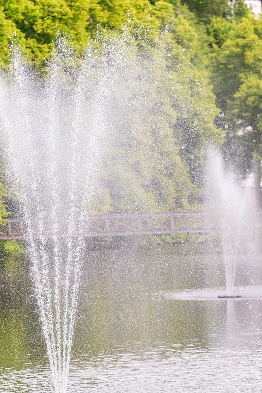 A water fountain sprays high into the air over a calm lake with a green background, Stadtpark Kleb, Nagold, Black Forest, Germany, Europe