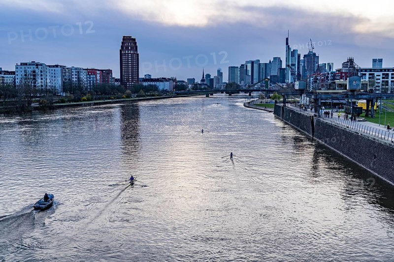 Skyline of Frankfurt am Main, skyscrapers, business and banking district in the city centre, rowing boats on the Main, Hesse, Germany, Europe