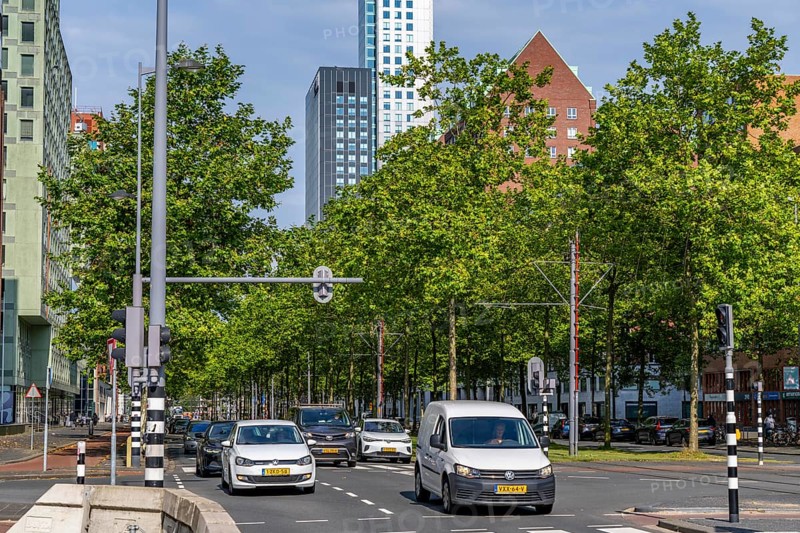 Urban greening, inner-city street Laan op Zuid, in Rotterdam's Feijenoord district, 4 lanes, 2 tram tracks, cycle paths on both sides, pavements and parking lanes, planted with hundreds of plane trees over around 1.5 km, providing shade, cooling in summer, tram tracks with grass surface, less surface sealing, urban climate, microclimate in the city, Rotterdam, Netherlands