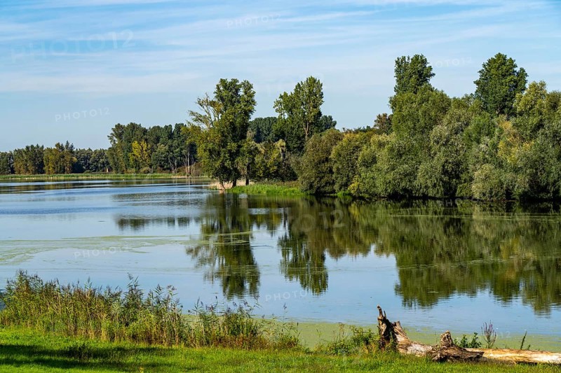 Bislicher Insel nature reserve, near Xanten on the Lower Rhine, floodplain landscape, old Rhine arm, protected habitat for many animal and plant species, North Rhine-Westphalia, Germany, Europe