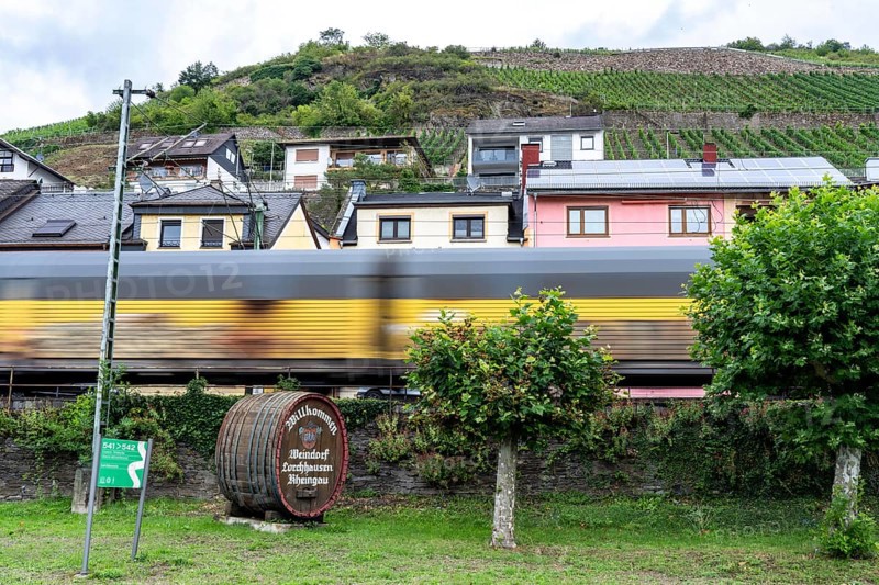 Upper Middle Rhine Valley, railway line on the right bank of the Rhine, goods train line, up to 400 freight trains run here within 24 hours, on both sides, through the Rhine Valley, directly through villages and close to buildings, near the village of Lorchhausen, Hesse, Germany, Europe