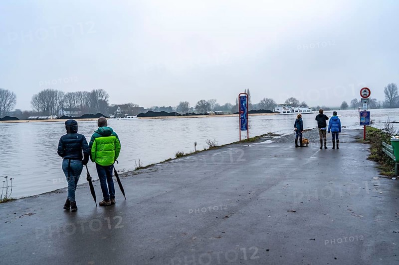 High water on the Rhine at Düsseldorf-Kaiserswerth, foggy weather, riverside paths and Rhine meadows are partly flooded, the Rhine ferry has stopped operating, initial restrictions on shipping apply, Düsseldorf, North Rhine-Westphalia, Germany, Europe
