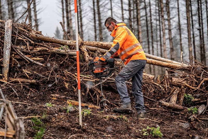 Reforestation in the Arnsberg Forest near Warstein-Sichtigvor, Soest district, forestry workers drill holes in the forest floor to plant young deciduous trees on the site of a spruce forest that had died and been felled due to heavy bark beetle infestation, North Rhine-Westphalia, Germany, Europe