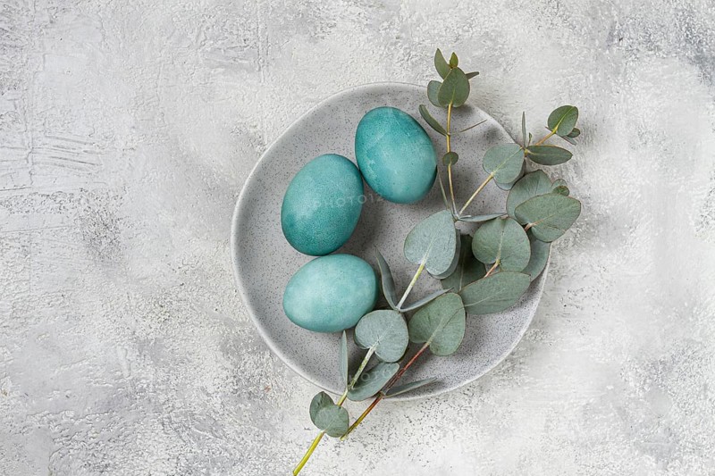 Easter colored eggs, in turquoise tones, on a gray plate, with a branch of eucalyptus, Easter card, top view, no people