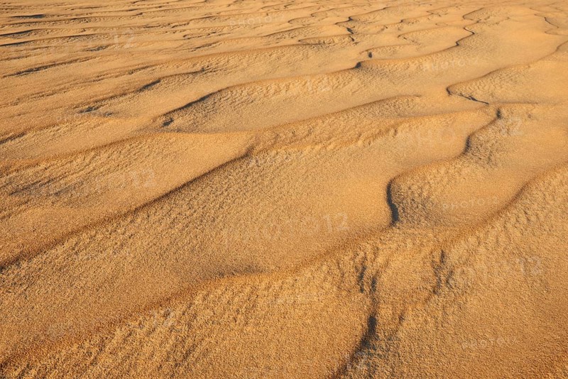 A close-up of undulating sand dunes in a desert, Matruh, Great Sand Sea, Libyan Desert, Sahara, Egypt, North Africa, Africa