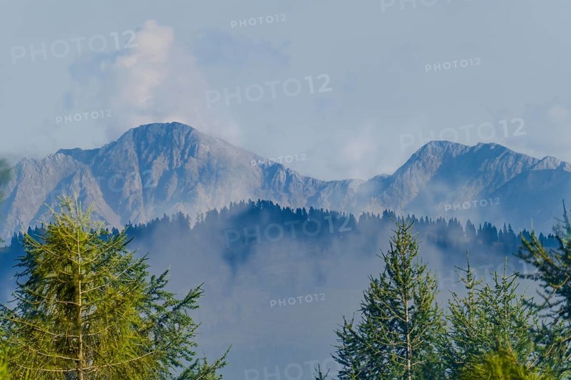 Karawanken, mountains in Slovenia in the background with clouds and fog in the foreground with green fir trees, view from Austria, Carinthia, Austria, Europe