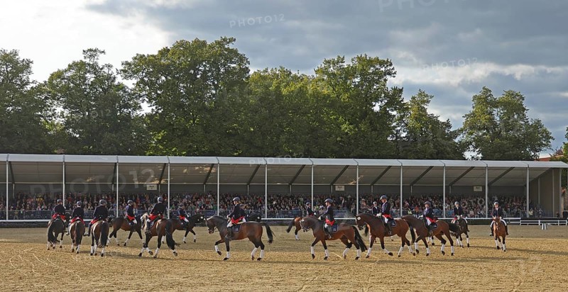 Warendorf State Stud, Stallion Parade, Jacobowski Quadrille