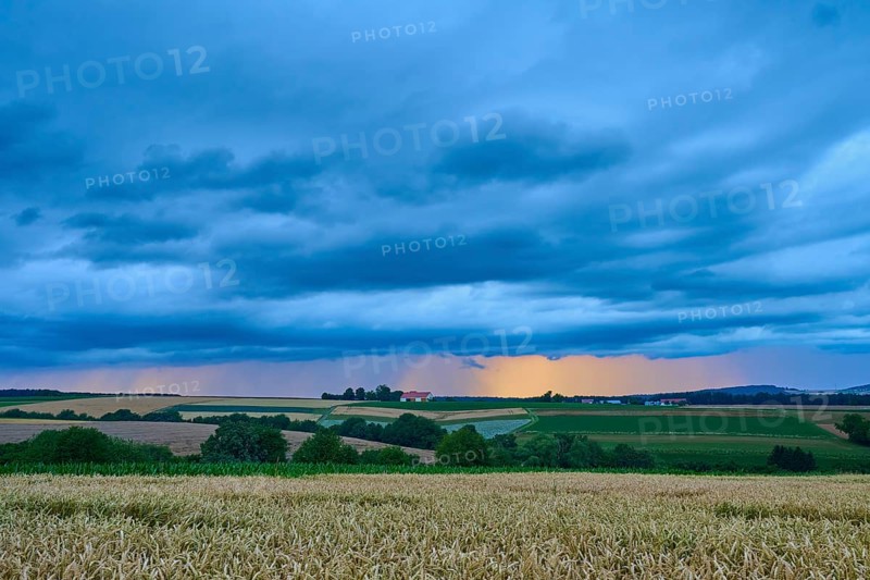 Wide wheat field (Triticum), in front of a hilly landscape under a cloudy sky at dusk, summer, Mönchberg, Miltenberg, Spessart, Bavaria, Germany, Europe