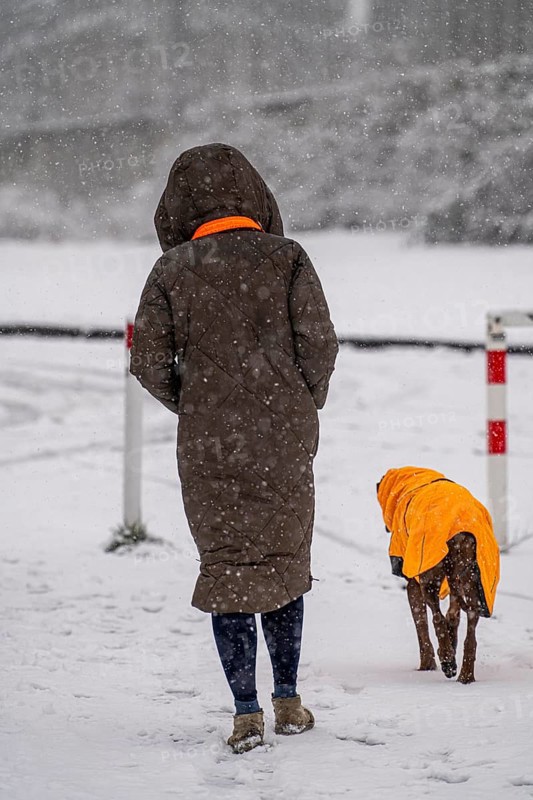 Winter weather, heavy snowfall, woman walking with dog, with winter blanket, in snowstorm, Essen, North Rhine-Westphalia, Germany, Europe