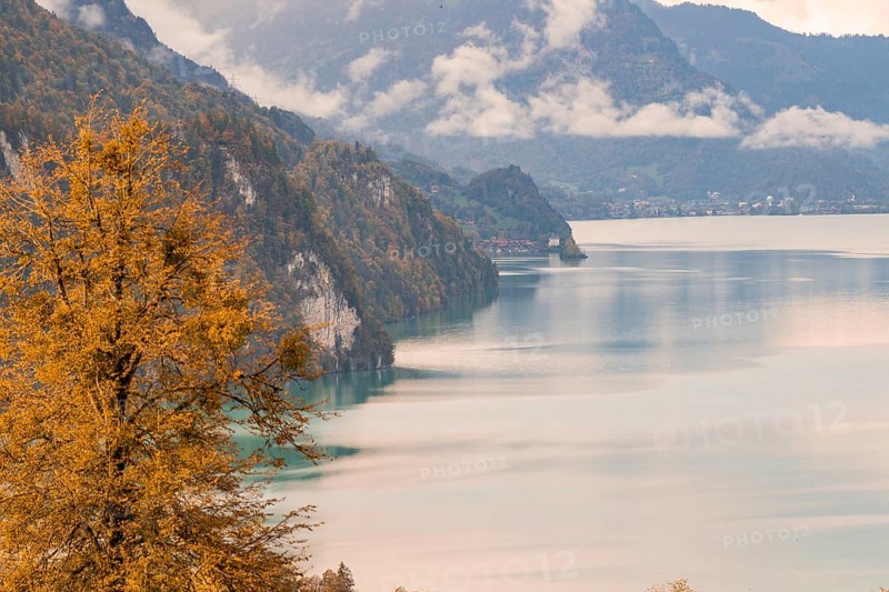 View of a tranquil lake surrounded by autumnal trees and mountains, Lake Brienz, Switzerland, Europe