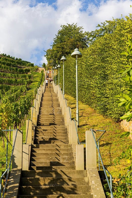 The Spitzhaus staircase is located in the Saxon town of Radebeul. It connects the Hoflößnitz vineyard with the Spitzhaus and the Bismarck Tower. The staircase, including the shell pavilion at the top, is a heritage-protected building, Radebeul Weinhänge, Radebeul, Saxony, Germany, Europe