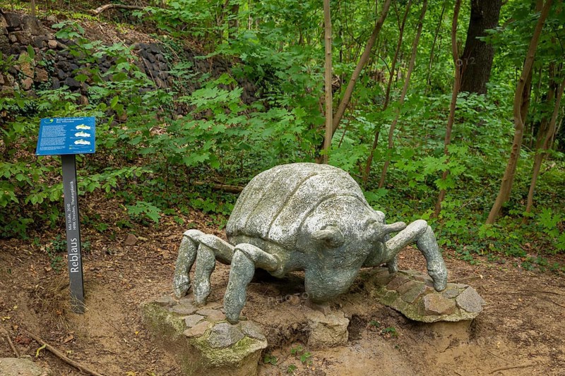 A phylloxera sculpture adorns the Historic Forest Route. Mia Stolle, a student of theatre sculpture at the Dresden University of Fine Arts, created the sculpture from polymer concrete. The phylloxera catastrophe, which peaked in 1904, led to the systematic uprooting and burning of the vines and their stakes. It was only with the grafting of European noble vines onto phylloxera-tolerant American rootstocks that a systematic revival began. The first vineyard in Saxony was replanted in 1907, phylloxera in large format on the wine trail, Radebeul, Saxony, Germany, Europe