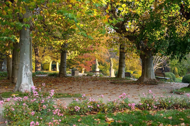 Plane trees and sandstone figures in the castle park at the baroque castle Diesbar-Seußlitz in autumn, Saxon Elbland, Saxony, Germany, Europe