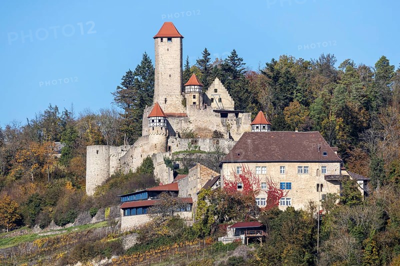 Hornberg Castle, castle of the knight Götz von Berlichingen. Landmark of Neckarzimmern and one of the largest and most important castles in the Neckar valley. Neckarzimmern, Baden-Württemberg, Germany, Europe