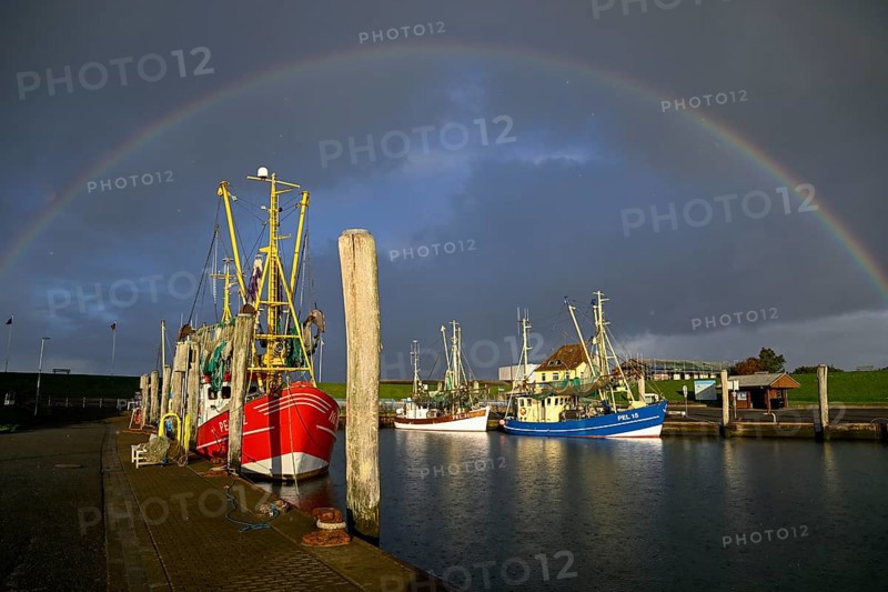 Fishing boats in the harbour of Tammensiel, rainbow, Pellworm Island, Schleswig-Holstein Wadden Sea National Park, North Frisia, Germany, Europe