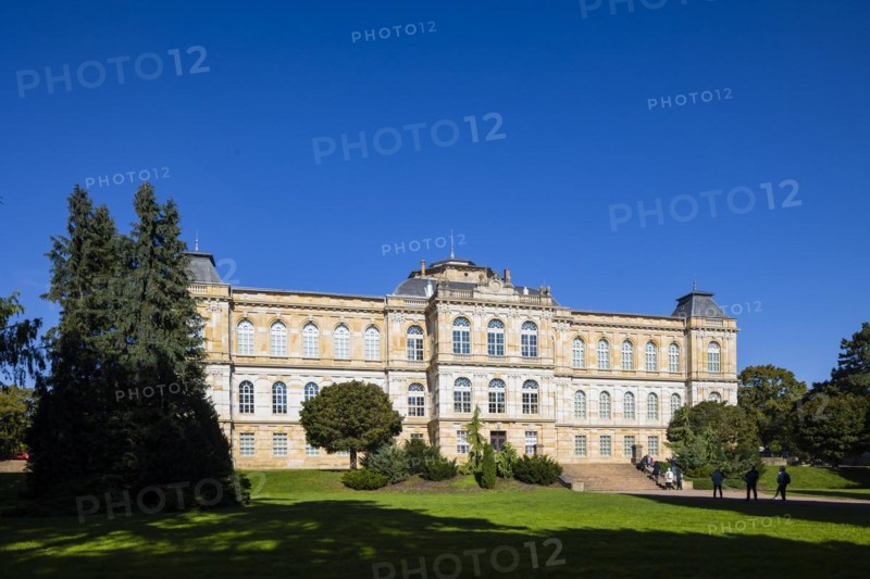 Gotha Ducal Museum in the Palace Park, Gotha, Thuringia, Germany, Europe