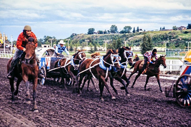 Calgary Exhibition and Stampede, Canada in the late 1970s or early 1980s Chuckwagon Race