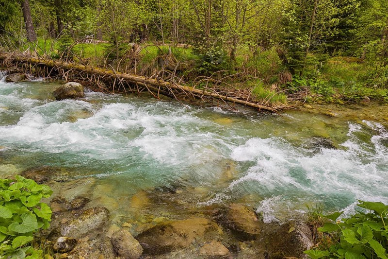 Fast flowing water, River Bela near Prbylina, Slovakia, Europe