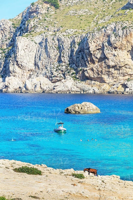Figuera bay (Cala Figuera), Mallorca, Balearic Islands, Spain, Europe