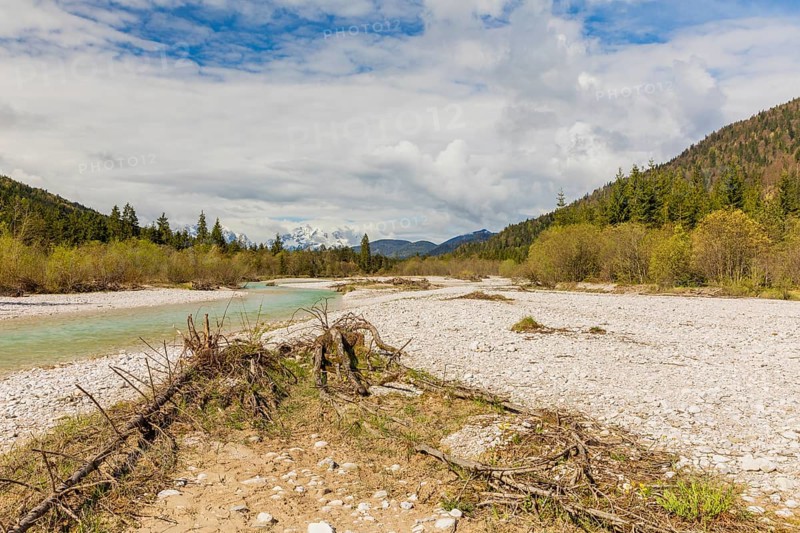 Isar valley nature conservancy area. The wild Isar river flows through its gravel bed past driftwood and entrained trees and bushes . Early morning
