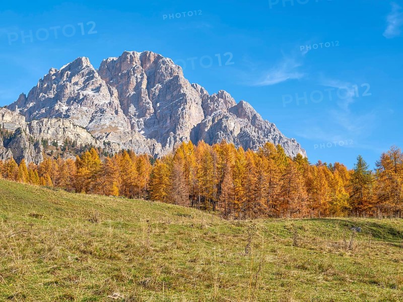 Autumn at Passo Tre Croci, autumnal larches, mountains in the background, Misurina, Dolomites, Italy, Europe