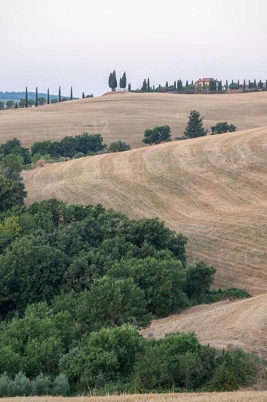 Typical Tuscan landscape in Val d'Orcia with hills, trees, fields, cypresses in autumn, Tuscany, Italy, Europe