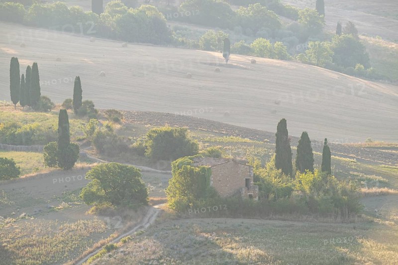 Typical Tuscan landscape in Val d'Orcia with hills, trees, fields, farmhouses and cypresses in summer, Tuscany, Italy, Europe