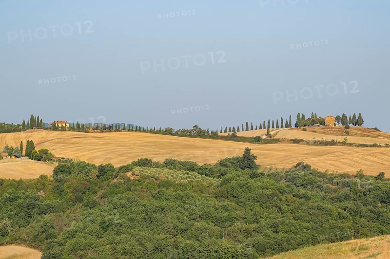 Typical Tuscan landscape in Val d'Orcia with hills, trees, fields, farmhouses and cypresses in summer, Tuscany, Italy, Europe