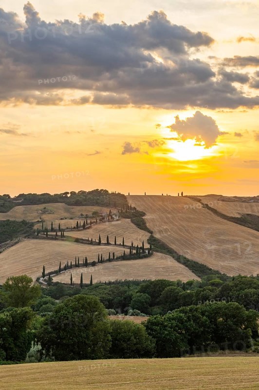 Typical Tuscan landscape in Val d'Orcia with hills, trees, fields, cypresses and farm road in autumn at sunset, La Foce, Tuscany, Italy, Europe