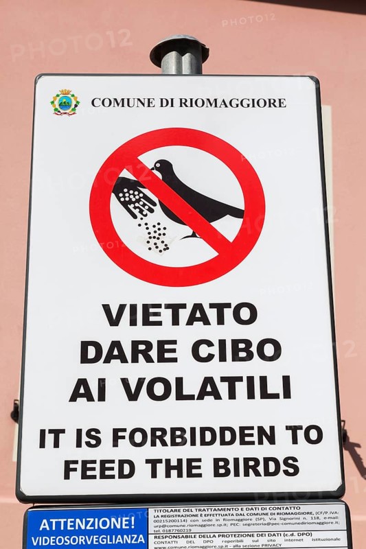 Posted bilingual Italian and English It is Forbidden to Feed The Birds pictogram sign, Riomaggiore, Cinque Terre, La Spezia province, Italy, Europe