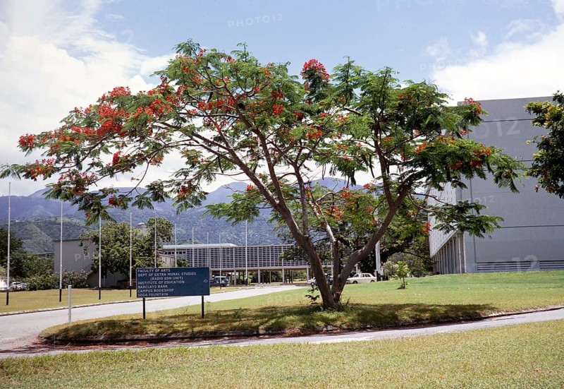 University of the West Indies, Kingston, Jamaica, West Indies 1970, Central America