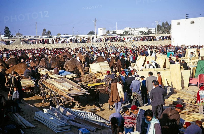 Camel market in Sousse, Tunisia, North Africa, 1972 1972, Africa