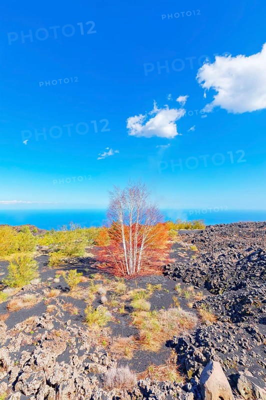 Volcanic landscape, Etna, Sicily, Italy, Europe