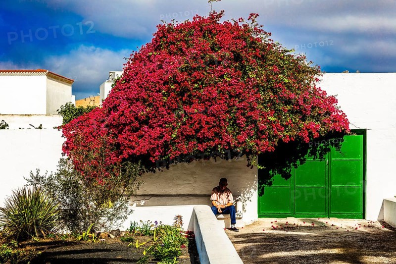 2016, Teguise, Lanzarote, Teguise, ESP, Spain, Canary Islands, Canary Islands, Atlantic Ocean, Lanzarote, biosphere reserve, volcano, volcanism, volcanic island, island, recording date, Europe