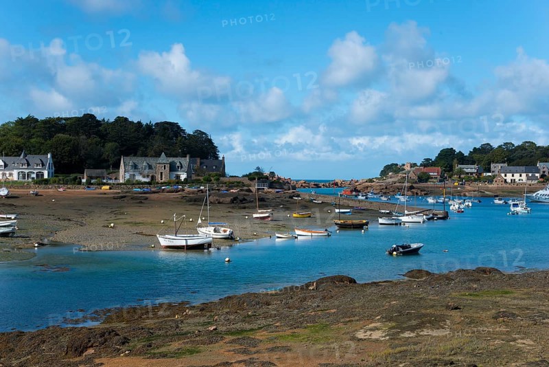 Small boats in the harbour at low tide with houses along the shore and blue sky with a few clouds, Trégastel, Tregastel, Ploumanac'h, Ploumanach, Côte d'Armor, Brittany, France, Europe