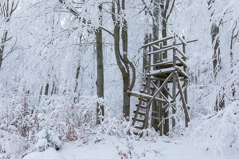 High seat in the winter forest, the trees are thickly decorated with snow and hoarfrost on the summit of the Czorneboh in Upper Lusatia, Saxony, Germany, Europe