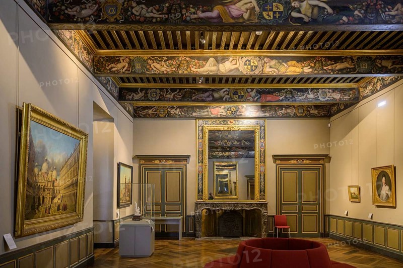 Historical paintings and painted wooden ceiling in the Palais de la Berbie, Albi, Département Tarn, France, Europe