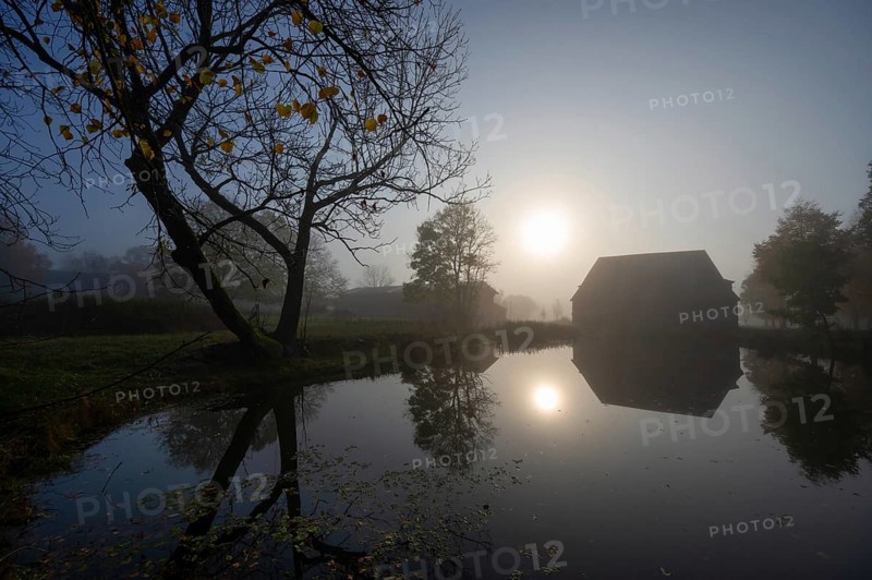 Morning sun over the estate pond on a foggy morning at Gut Othenstorf, Othenstorf near Rehna, Mecklenburg-Vorpommern, Germany, Europe