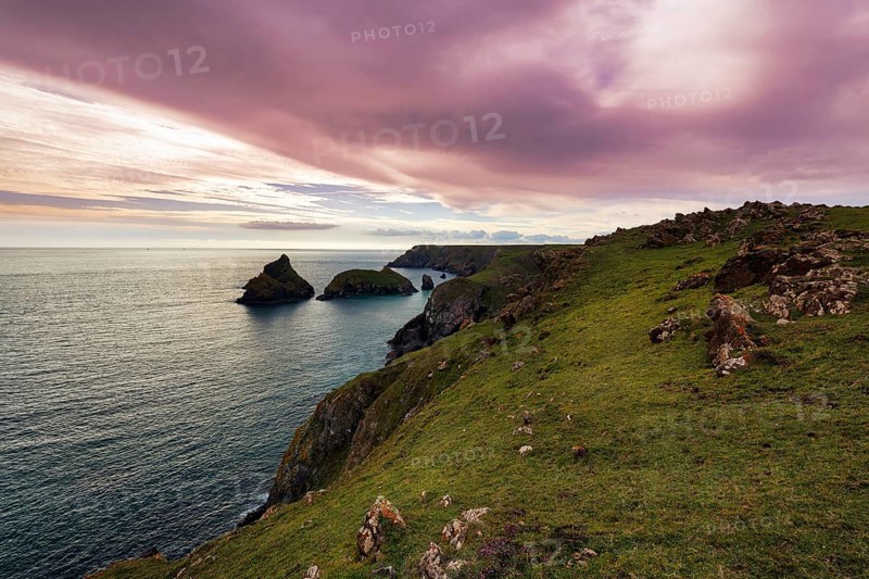 Rocky coast at Kynance Cove, evening sky, Mount's Bay, Lizard Peninsula, Cornwall, England, Great Britain