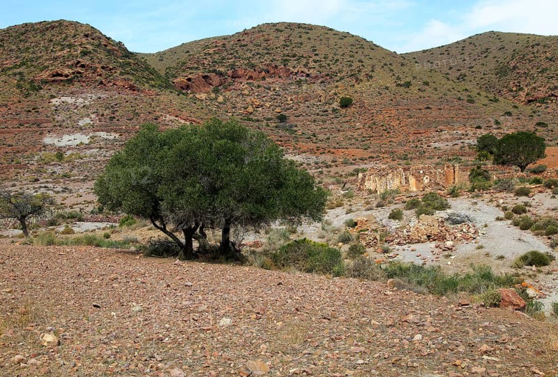 Abandoned farmhouse building near Presillas Bajas, Cabo de Gata national park, Almeria, Spain, Europe