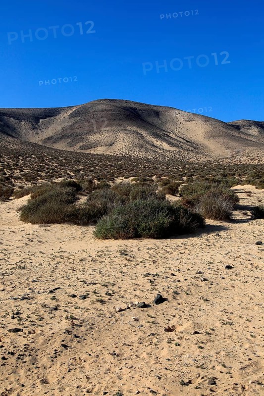 Dry sandy desert Jandia peninsula, Fuerteventura, Canary Islands, Spain, Europe